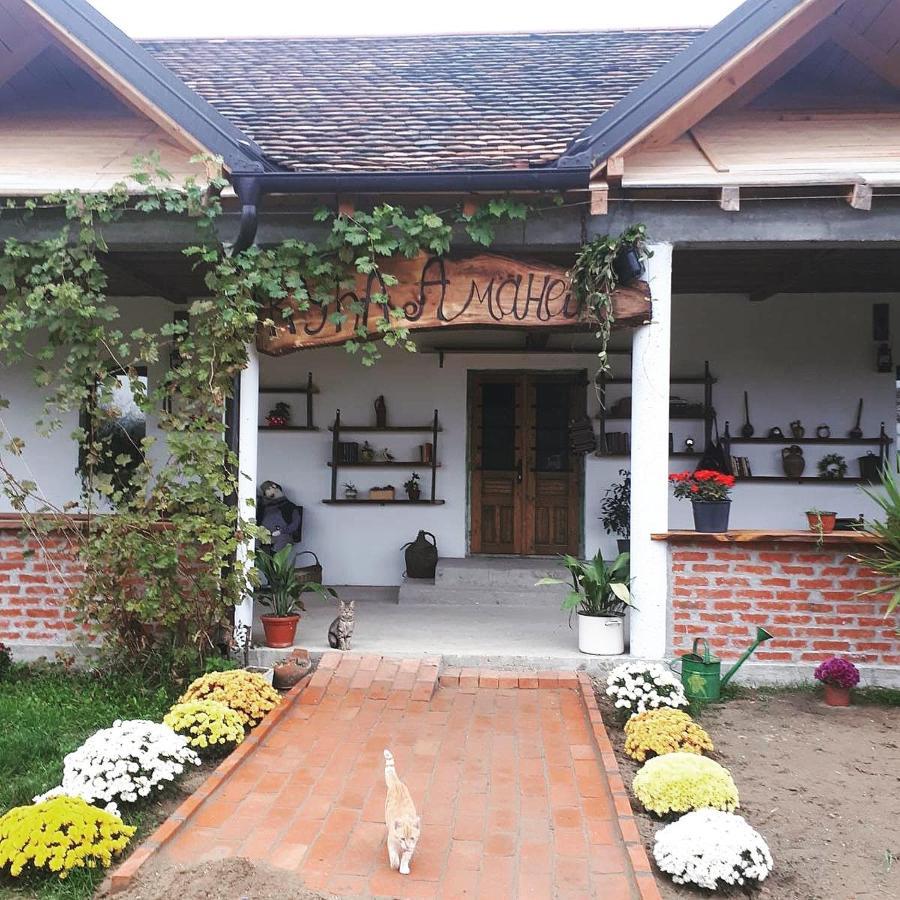 Amanet House Zasavica Apartment Ngoại thất bức ảnh