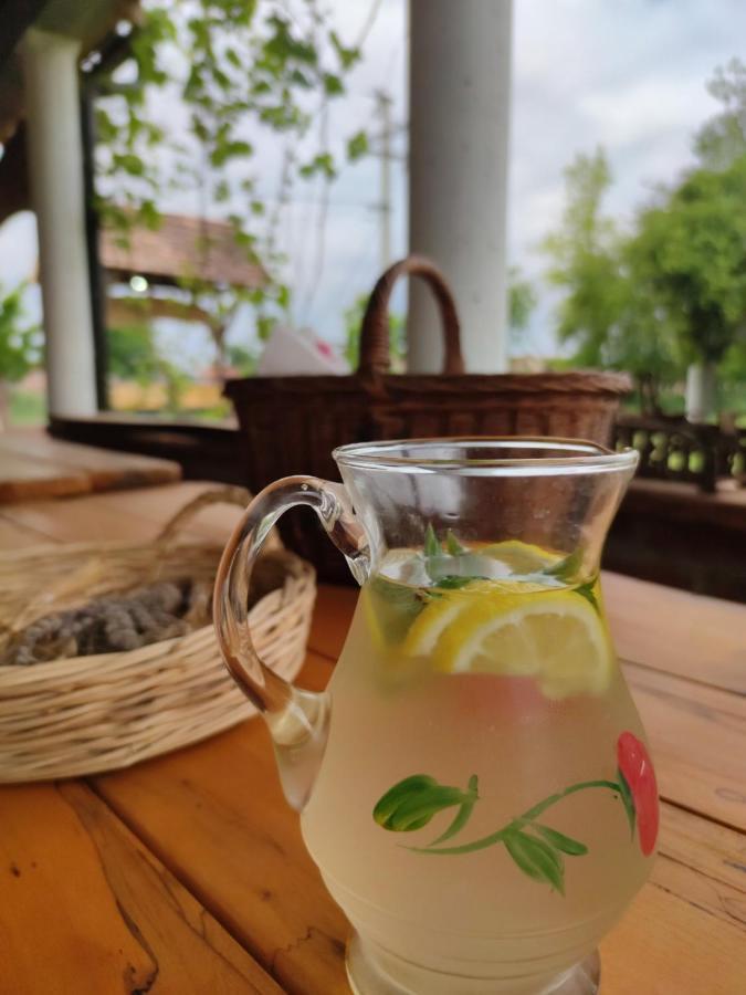 Amanet House Zasavica Apartment Ngoại thất bức ảnh