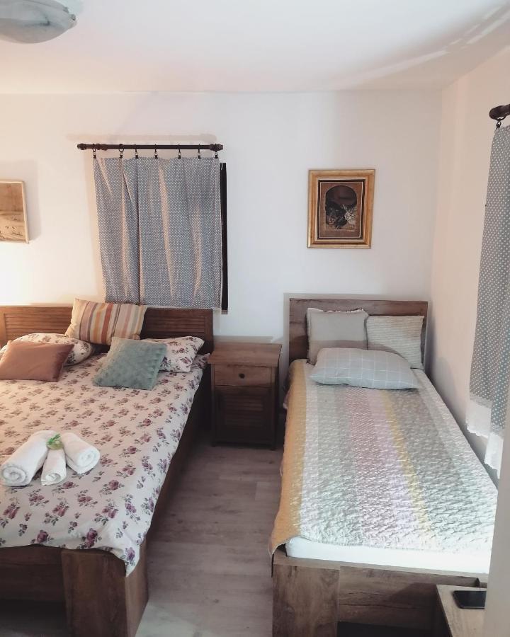 Amanet House Zasavica Apartment Ngoại thất bức ảnh