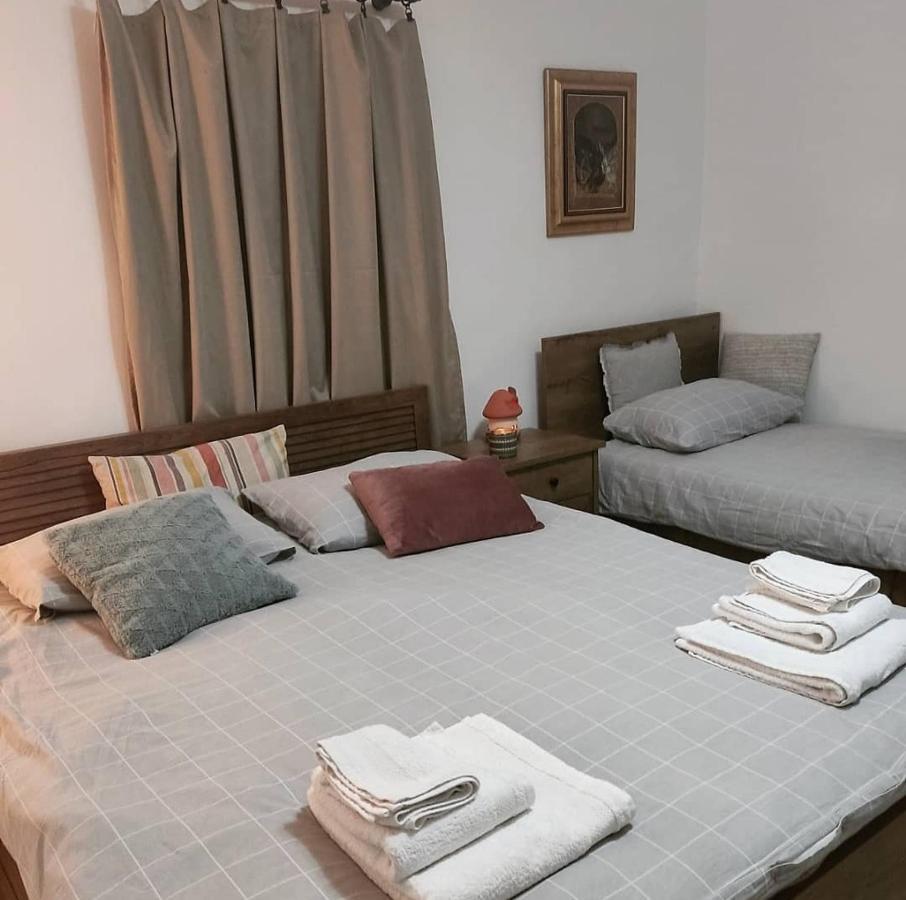 Amanet House Zasavica Apartment Ngoại thất bức ảnh
