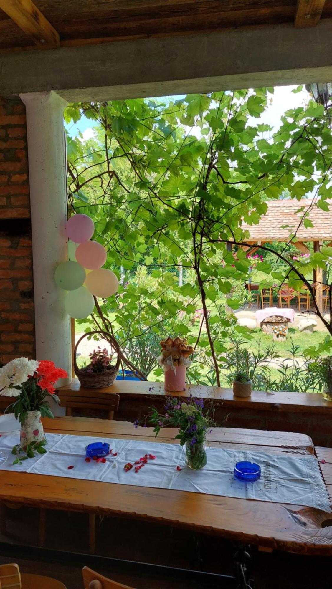 Amanet House Zasavica Apartment Ngoại thất bức ảnh